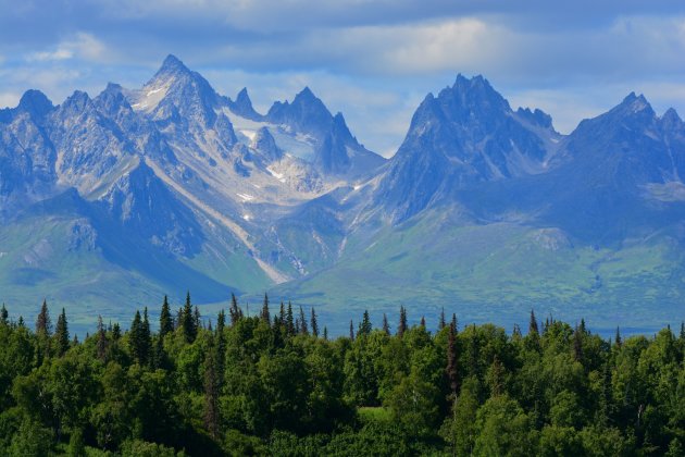 Into the Wild: op zoek naar de 'Big Five' van Alaska