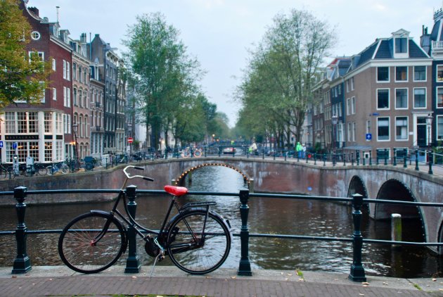 Stadssafari door Amsterdam