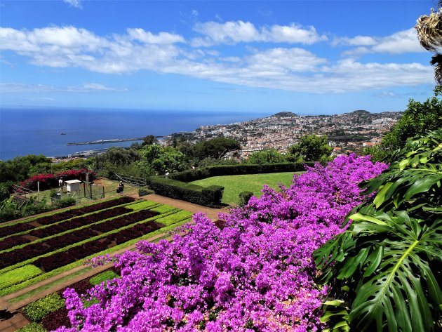 Funchal vanuit de Botanische Tuin