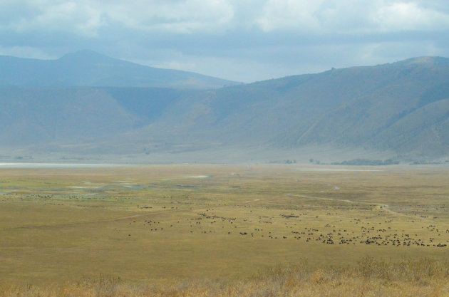 Overzicht Ngorongoro