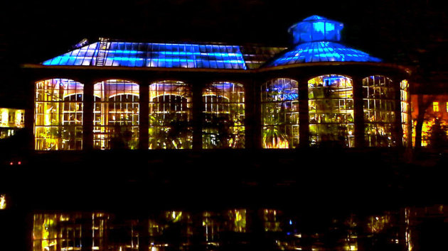 De Hortus Botanicus in Amsterdam tijdens het light festival