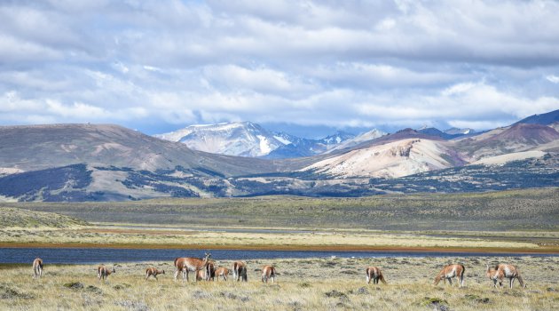 (Bijna) alleen op de wereld in Perito Moreno National Park