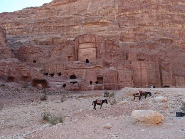 ezeltjes in Petra