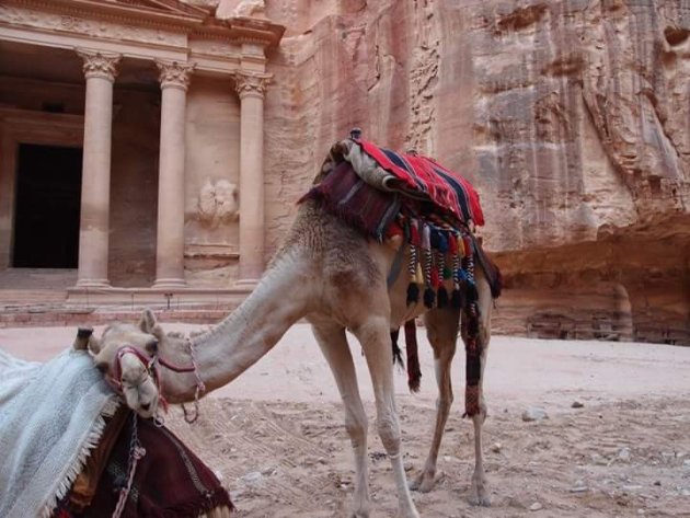 Schatkamer van Petra en kamelen