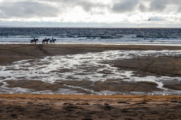 Paardrijden op de stranden van Donegal