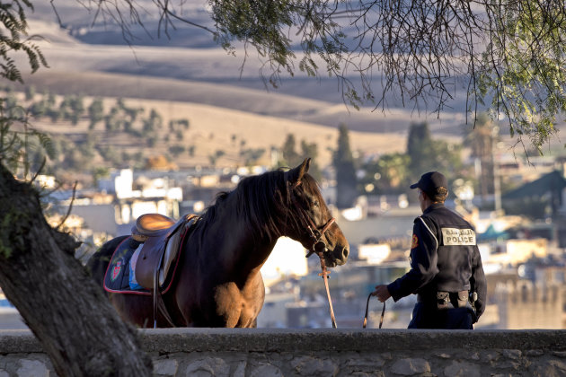 Politie te paard neemt even een rustmoment op Borj Nord