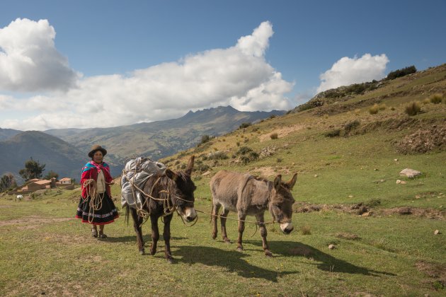 Lares tracking door Peru