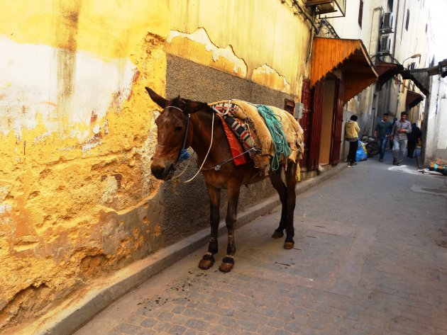 Gewoon een straatje in Fez