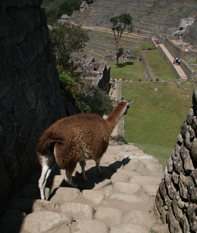 Machu Picchu zo immens