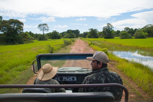 Safari Pantanal