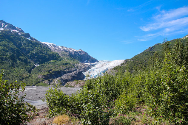 Exit Glacier