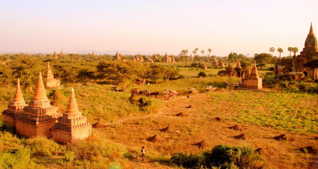 Bagan bij ondergaande zon.