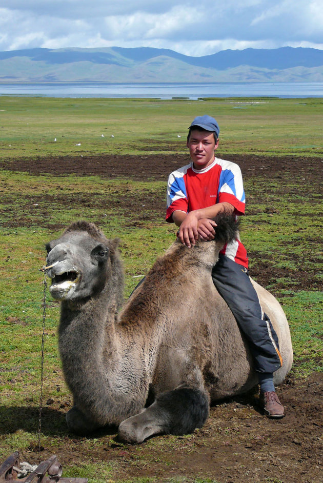 Nomade op zijn kameel