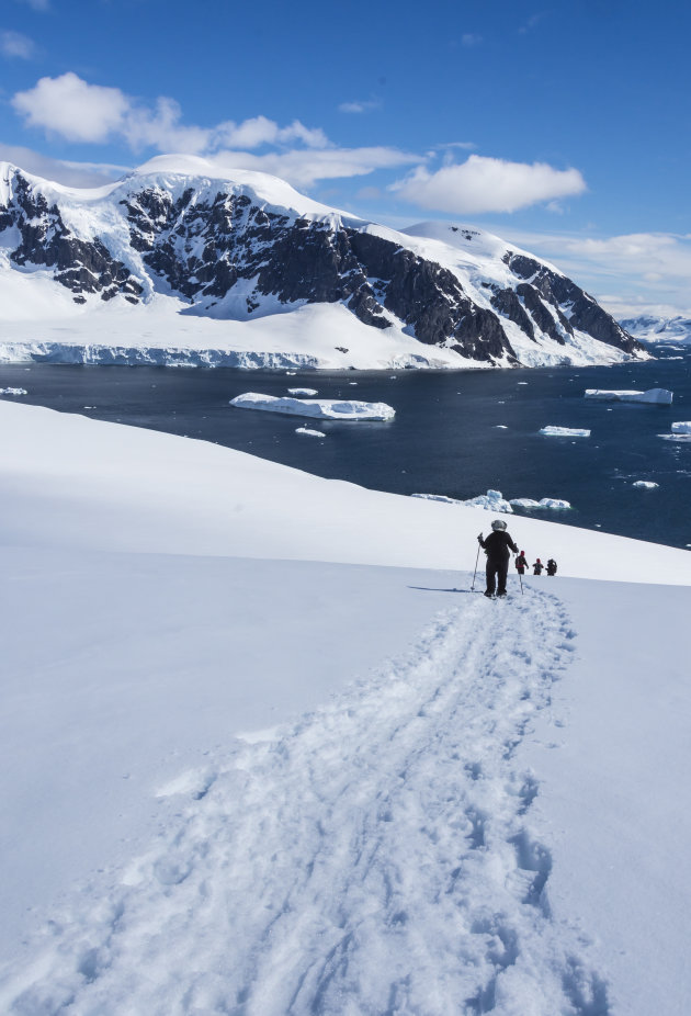 Een wandeltocht op Danco Island Antarctica