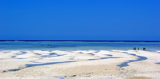 Oost - Zanzibar