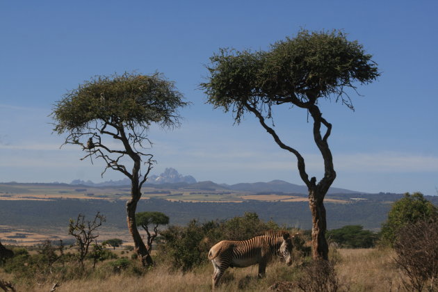  Mount Kenya 