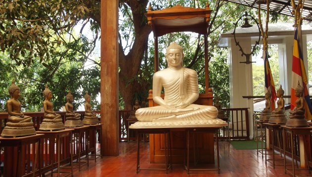 Boeddha beelden 