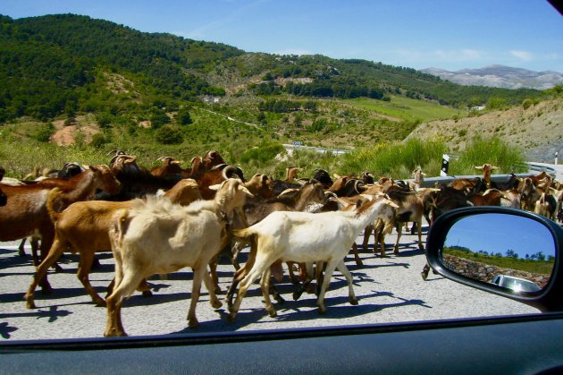 File in Andalusie