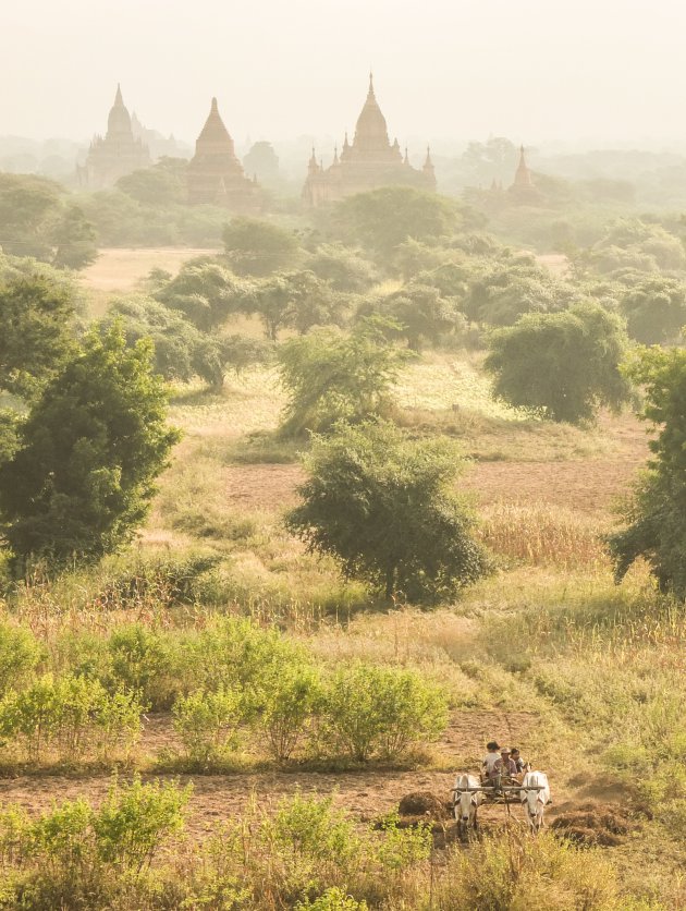Het lokale leven in Bagan