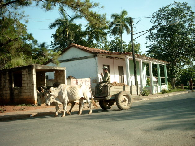 Lokaal vervoer in Vinales, Cuba