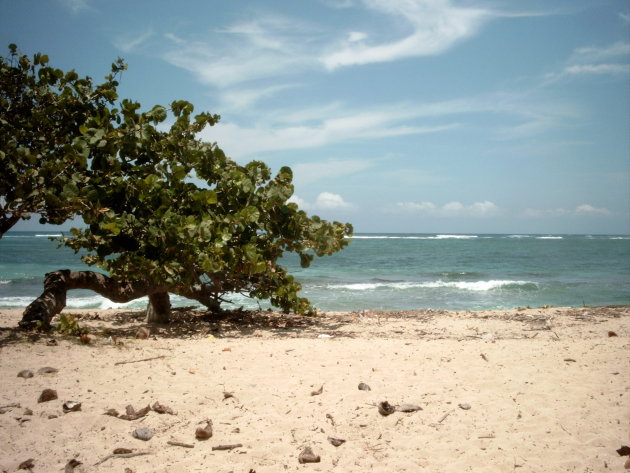 Strand bij Baracoa, Cuba