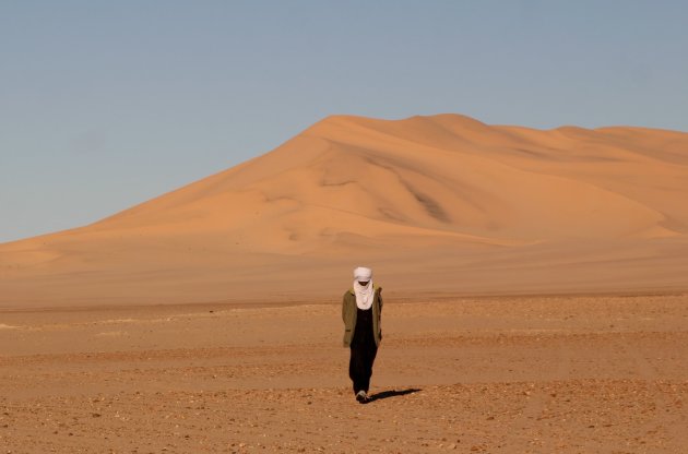 Lonely desert