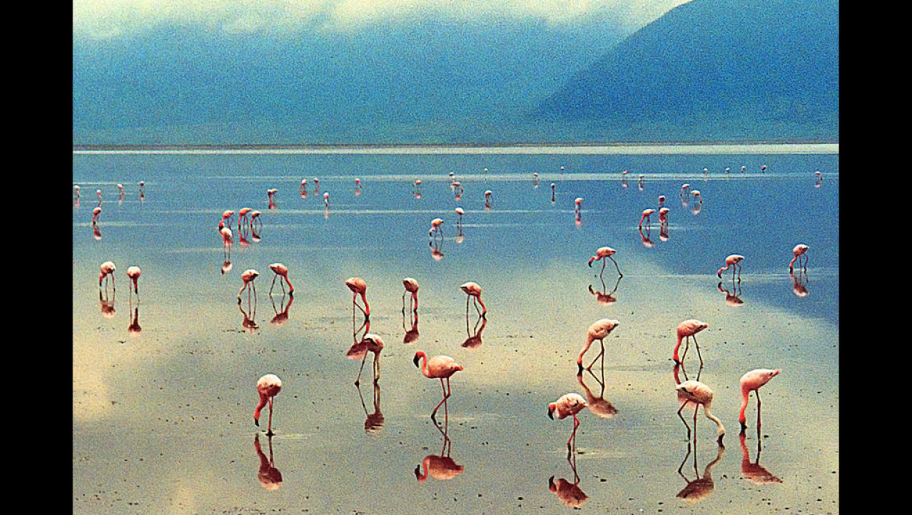 Lake Manyara. 2003.