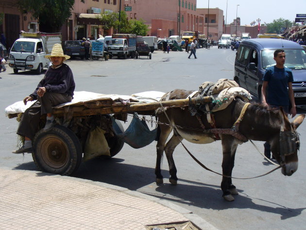 met ezel en wagen door Marrakech