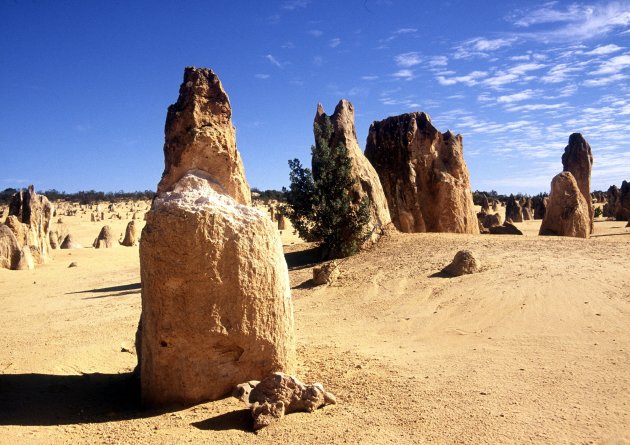 Bizar gevormde rotsnaalden van de Pinnacles