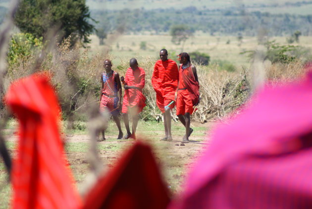 jonge masai krijgers