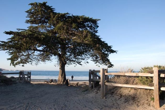 Monterey Bay beach