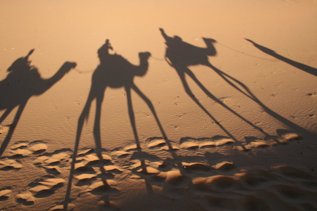 Schaduw tijdens kamelentocht in Erg Chebbi woestijn