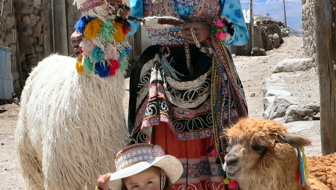 Moeders met dochter en hun alpaca's