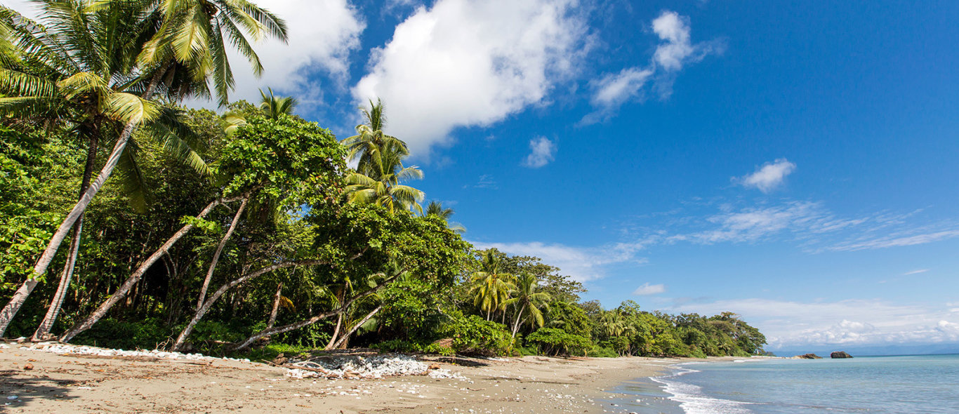 Westkust Costa Rica image