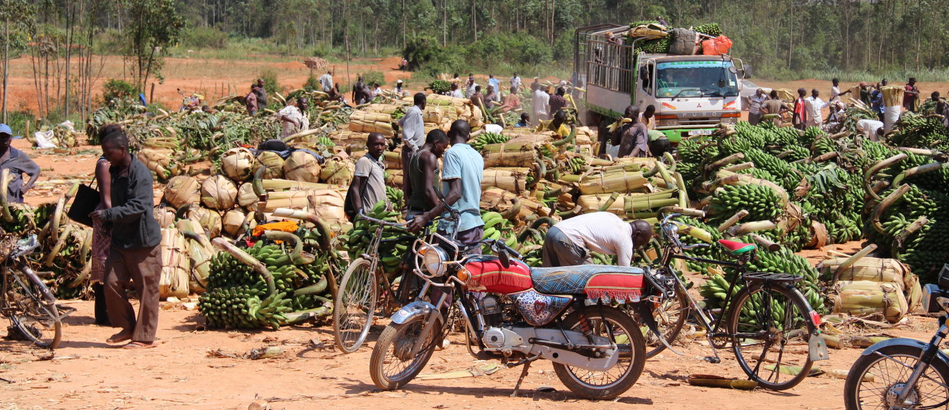 Centraal Uganda image