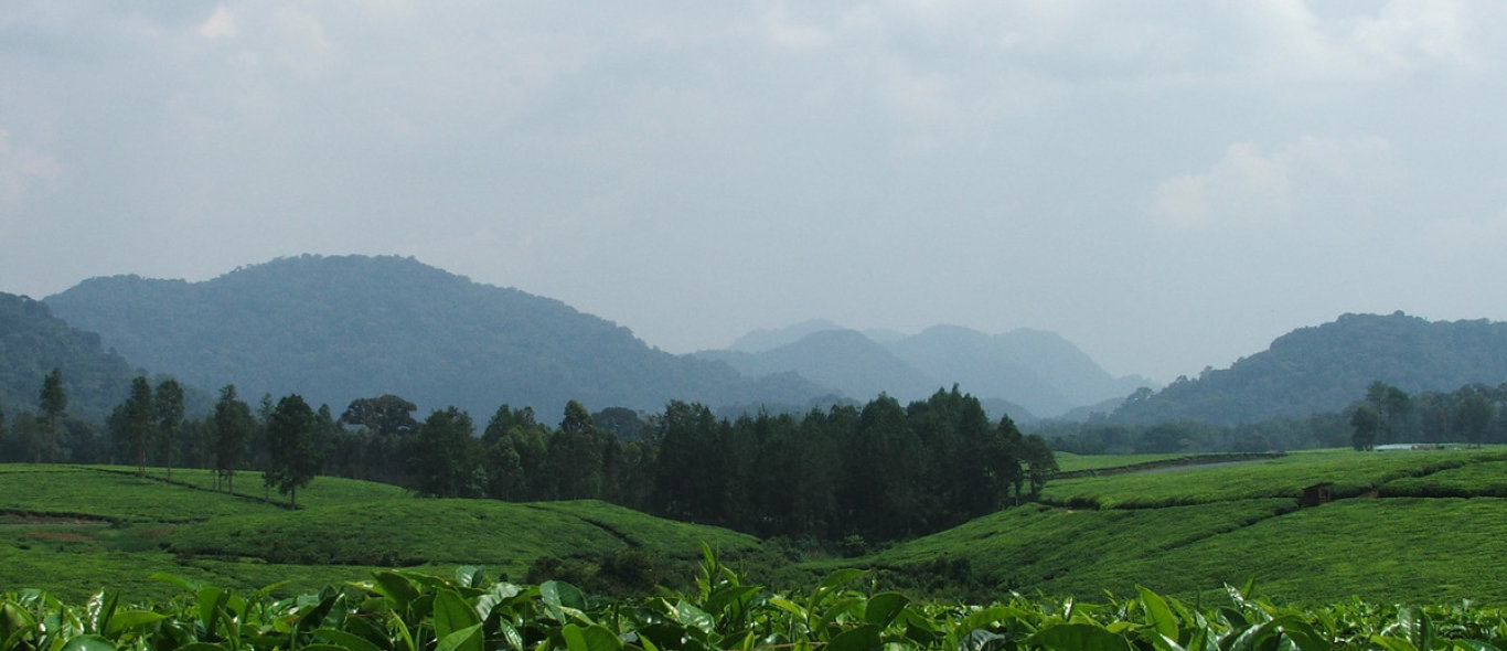 Zuid Rwanda image