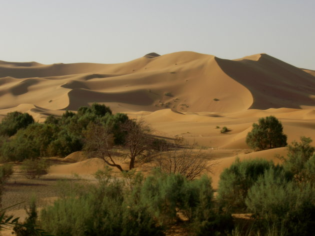 Zandduinen Sahara 