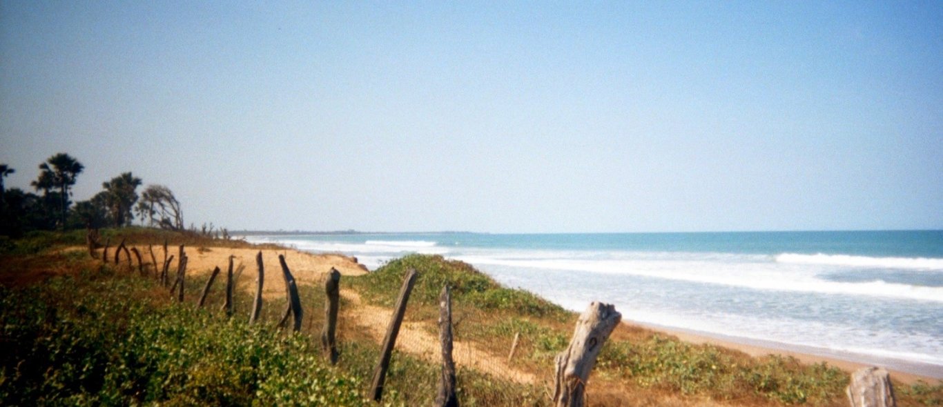 Kololi Beach image