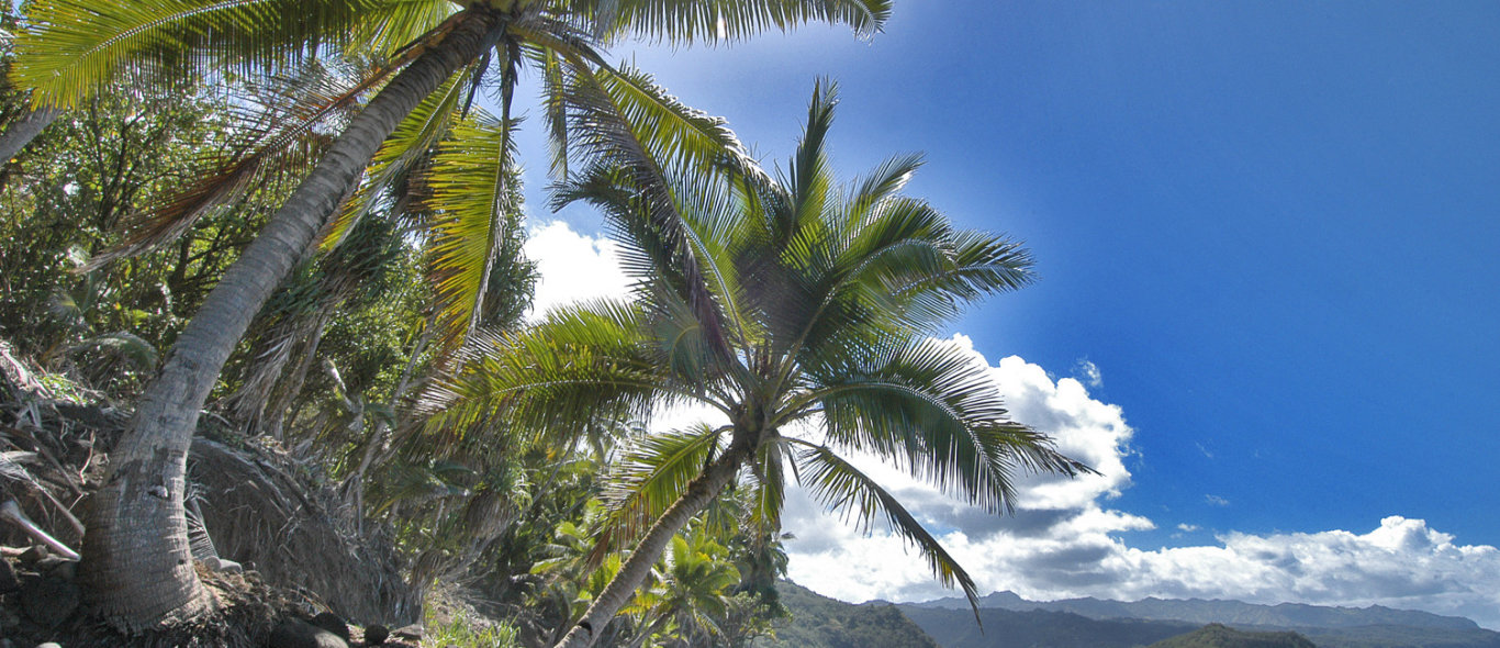 Marquesas Eilanden image