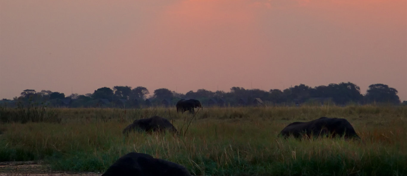 Chobe National Park image
