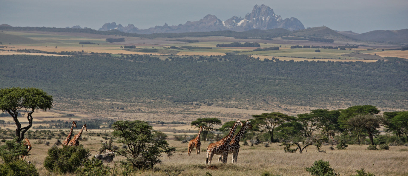 Mount Kenya image