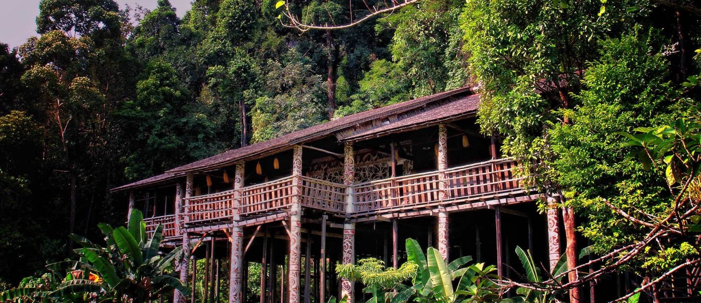 Longhouses Sarawak image