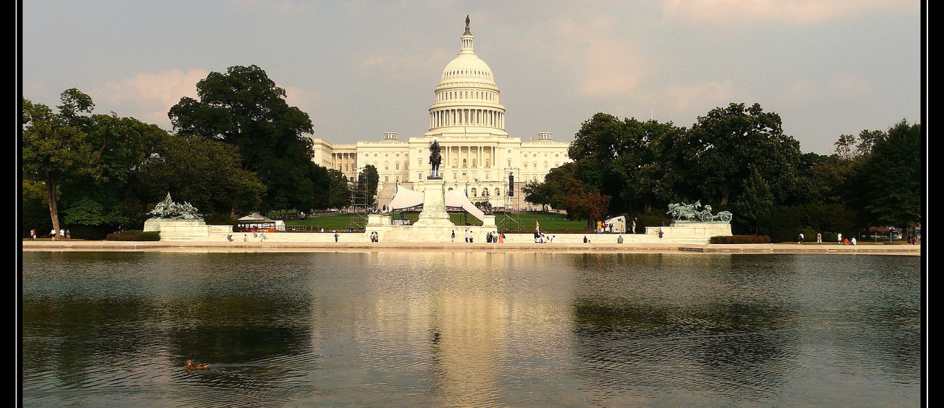 Washington D.C. image