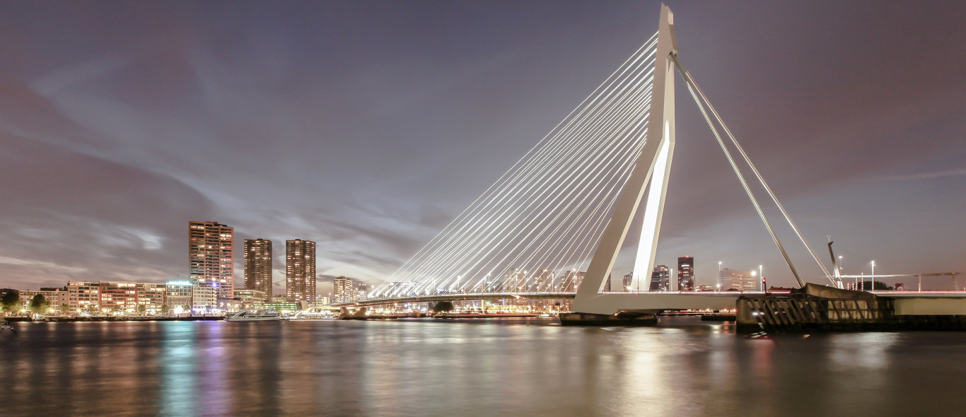 Rotterdam image