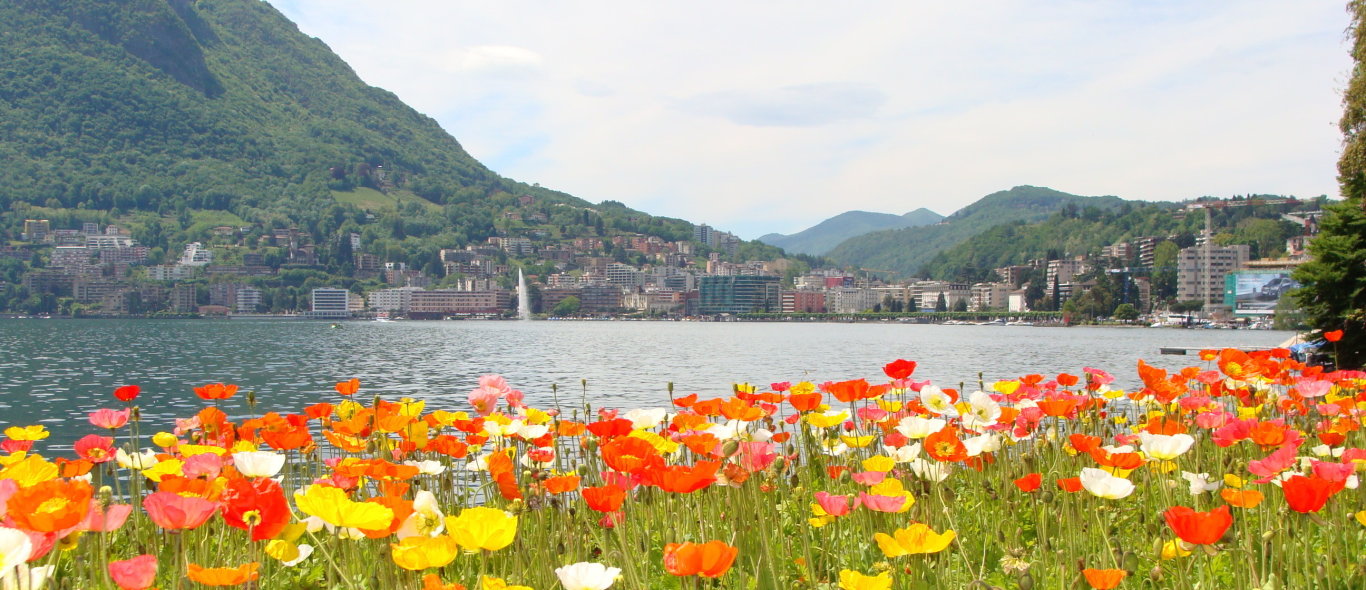 Lugano image