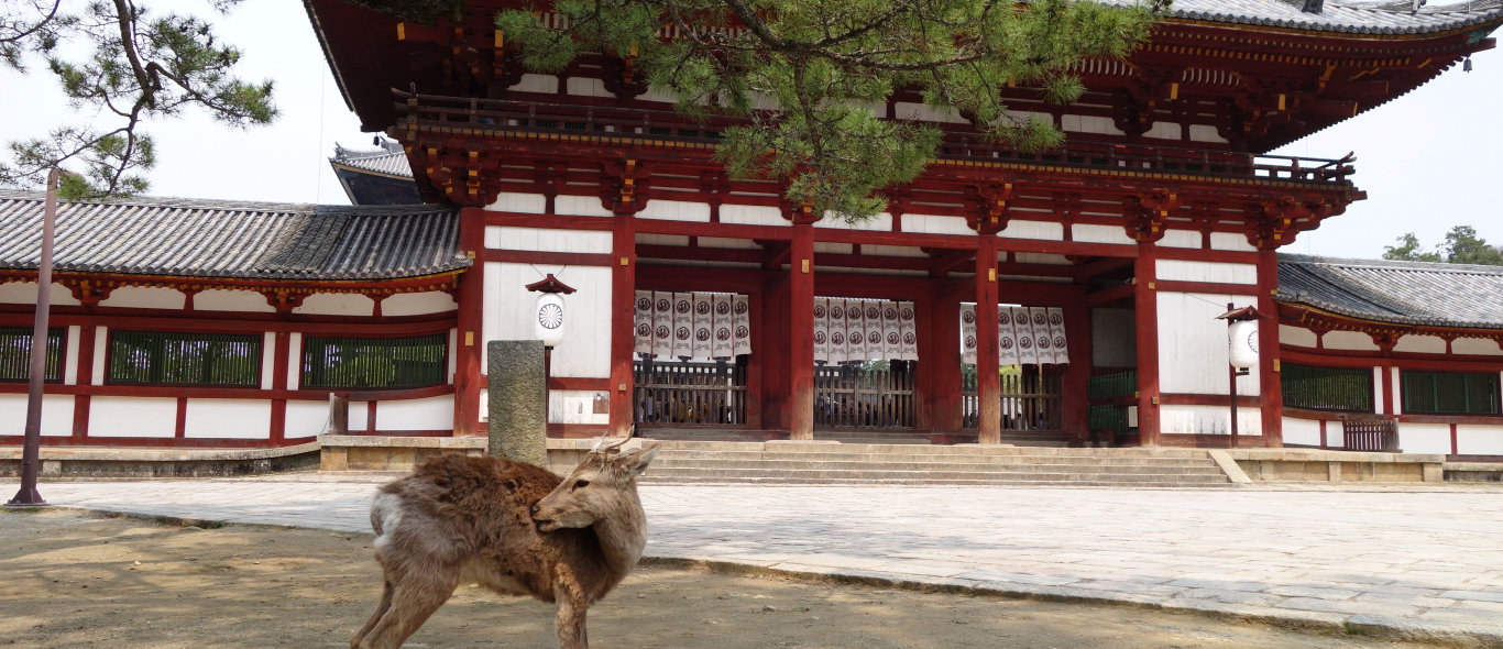 Nara image