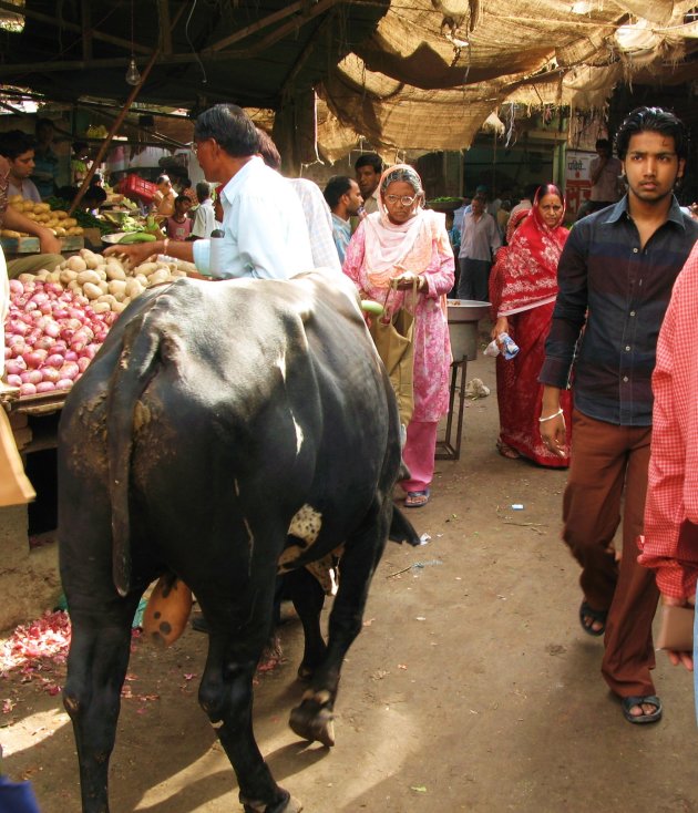 Koeien op markt