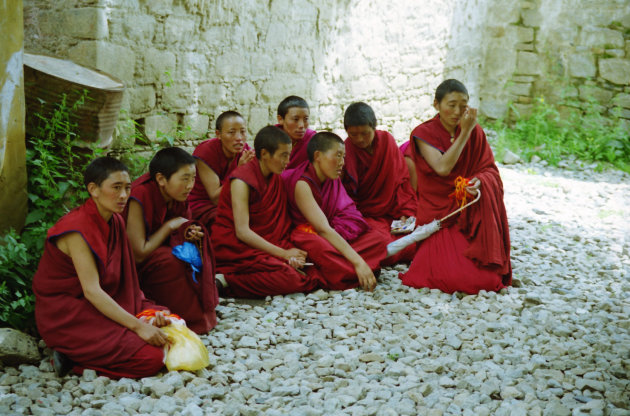 vrouwelijke monniken kijken toe 