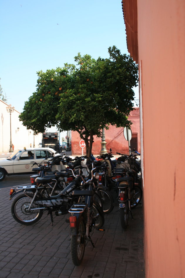 Marrakech Scooter City
