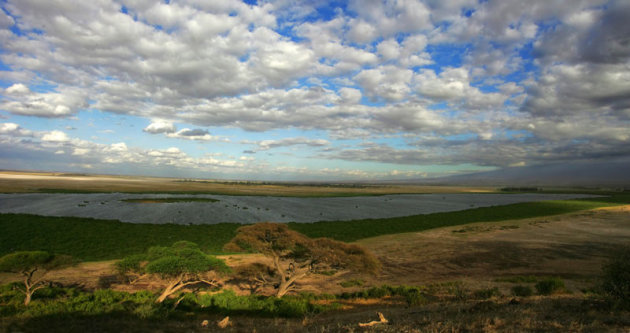 panorama Amboseli